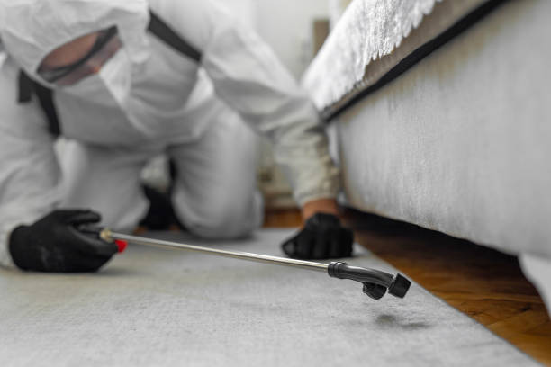 Professional Termite Control technician working in Orange, OH