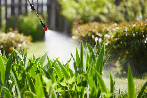 24/7 Emergency Termite Control experts in Orange, OH