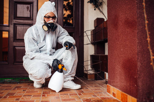 Reliable Termite Control contractor in Orange, OH by Nex Pest Control