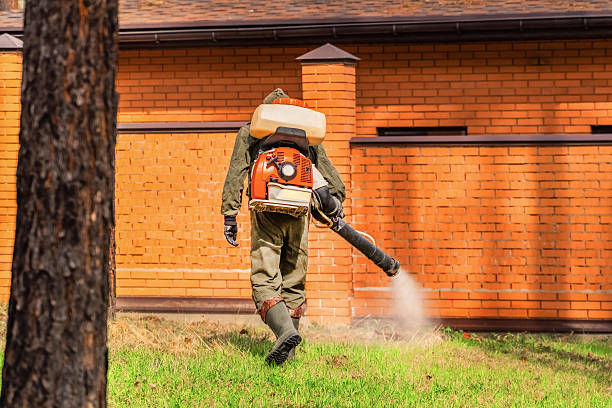 Top rated local Termite Control specialists in Orange, OH